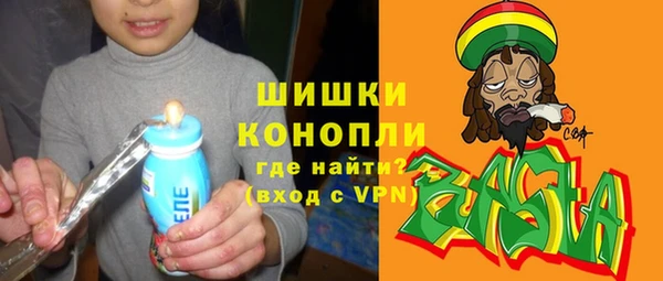 сатива Балахна
