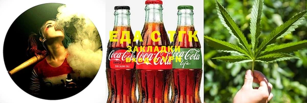 сатива Балахна
